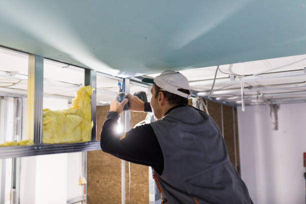 Best Insulation Installation Services in Scottsdale, AZ